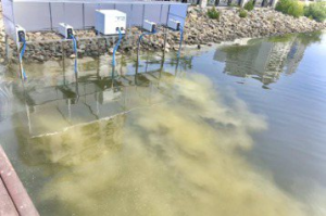 南市運河雙管齊下 廢水截流、曝氧系統打造親水環境