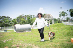 嘉義市首座寵物公園正式啟用  放電、練體力還可練肌力