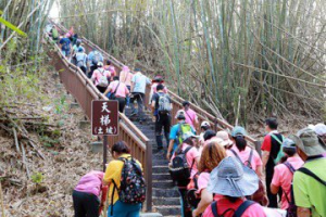 台南東山林安森林步道翻新啟用 黃偉哲邀大家體驗美景