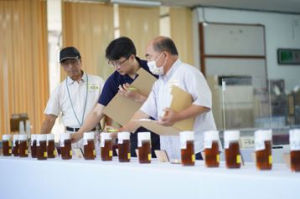 龍眼蜜品質評鑑成績揭曉 竹縣養蜂產銷班5人獲特等獎