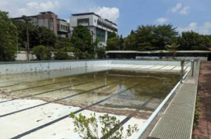 下雨積水現魚蛙 市議員提議廢棄泳池轉型冰宮