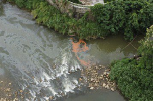 與污染無關…新埔地區下周一停水8小時 影響180戶