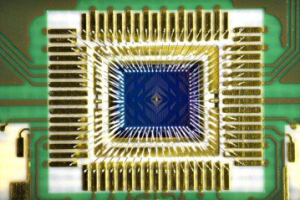 英特爾提供新款量子晶片供大學及學術研究 加速量子運算成長茁壯