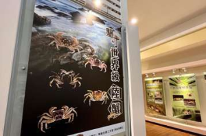 為何是世界級陸蟹研究聖地   墾丁遊客中心特展告訴你
