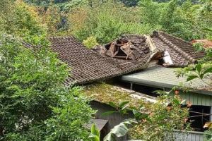 舊內灣所去年5月屋頂坍塌又逢白蟻入侵 文化局搶修中