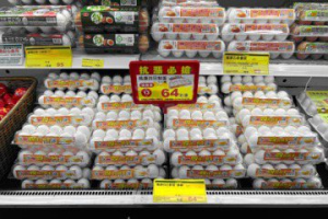 雞蛋1粒不到4元！楓康超市本周六推冷藏鮮蛋買一送一