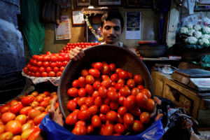 印度番茄價格飆445% 遭麥當勞從配料中剃除