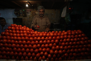 印度爆「蕃茄之亂」  政府採緊急因應措施
