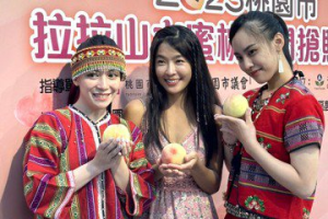 拉拉山水蜜桃7月正甜美 藝人小嫻也來幫忙賣水蜜桃