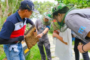 永續不落人後 東京威力科創推廣蜜蜂生態教育