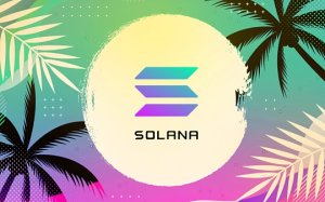 Solana熊市團結开發者的姿勢：兼容EVM 拉新开發者