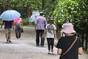嘉義市不放颱風假樹木園持續休園 民眾無視公告照常入園