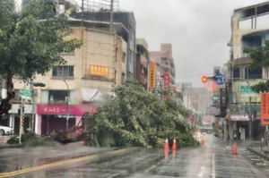 不是擦邊台南！台南市區強風吹倒路樹 多處地下道及道路受阻