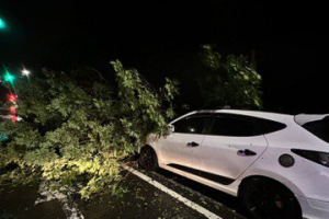 影／杜蘇芮強吹 台南半夜倒塌路樹壓毀轎車、道路封閉
