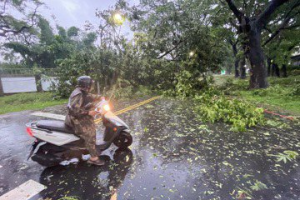 杜蘇芮10級風襲擊高雄 樹倒壓垮車阻礙交通