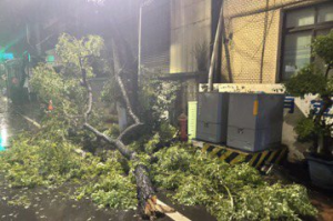 午後大雷雨釀災 台中路樹倒塌、豐原近4000戶大停電
