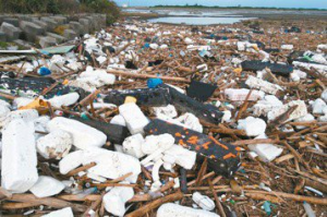 颱風肆虐後 台南海岸遍布垃圾漂流物