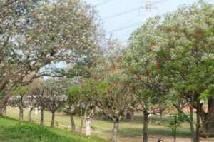 期待近20年 彰化市即將有自己的河濱公園