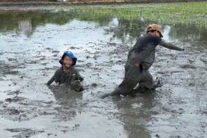 中北部孩子雲林插秧樂 古法農作滿身泥全是初體驗