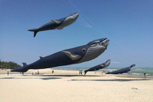新竹國際風箏節9月2日登場 超大巨型藍鯨將首度飛上天