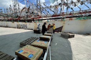 日本排核廢水 高市加強秋刀魚及近海漁獲檢測