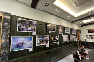 女性運動攝影大賽作品 精選26幅霧峰議蘆咖啡廳展出