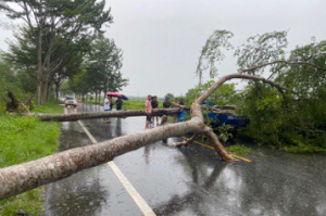 海葵颱風九級強風樹倒壓毀小貨車 車上兩人受傷送醫