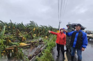 海葵颱風重創屏東農產 900多公頃  農作損失高達1億多元
