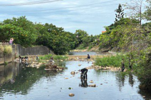 潤泰楊梅廠染藍溪今仍有死魚及汙水 環保局三度告發