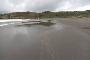 旗津沙灘遭天使輪油汙染黑終於清完了 但天候不佳暫不開放