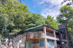 武陵遊憩熱點櫻花鉤吻鮭展示館維修 15日起封館8個半月