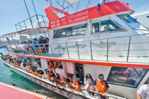 花蓮山中學童海上遊 遇見抹香鯨