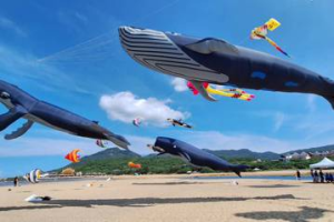 影／大鯨魚、章魚 福隆沙灘15座超大型造型風箏飛上天