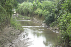台南尚有3河段嚴重汙染 力拚2030全面改善