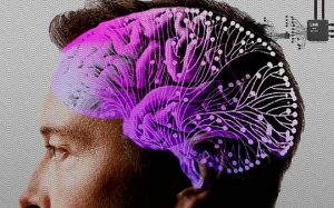 馬斯克的腦機接口獲人體試驗許可 專家：肯定很貴