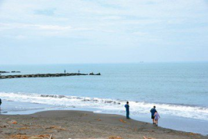 台南黃金海岸南側沙灘退縮 環團促維護