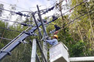 小犬颱風釀新竹1.4萬戶停電 台電動員百人挺進山區搶修