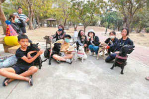 台南寵物公園僅2座 數量六都最低