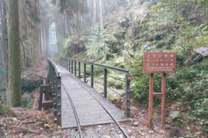鐵道森林最美步道之一  阿裏山特富野古道全線開放通行