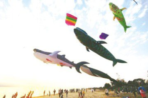 金門首屆離島風箏節周末登場 水獺、蠟筆小新風箏飛天
