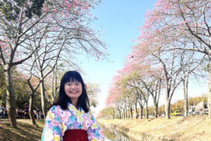 超夢幻的虎尾美人花道盛開 媲美日本櫻花季正是賞花期