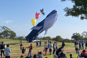 楊瓊瓔邀專業風箏團隊 全球最大30米藍鯨飛上後裏天空
