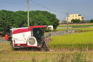 小犬颱風致延遲性災損 二期稻作減產價格創新高「每百台斤破1200元」