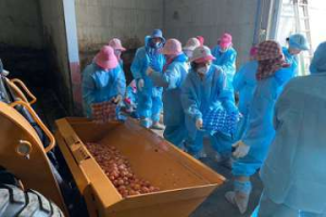 雲林入秋首場養雞場確診禽流感 3.5萬顆蛋、1.5萬隻雞撲殺銷毀