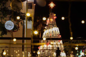超美！台南河樂廣場、新營文化中心2棵特色耶誕樹亮燈