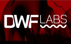 解密DWF Labs的崛起：幫客戶拉盤 16個月投資470個項目