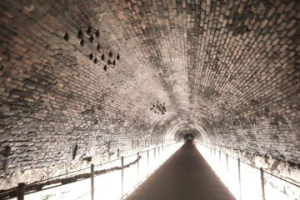 網美打卡熱點三貂嶺隧道 獲法國建築師境外設計等8項國際獎