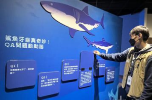 鯊魚來襲！嘉市立博物館展出罕見300顆鯊魚牙齒化石