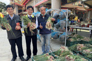 台灣本產紅蔥頭9成在台南 產季到北門公所首辦活動行銷