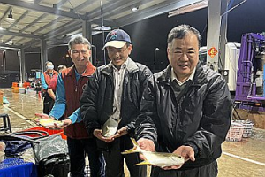 岡山魚市場 水產供應穩定